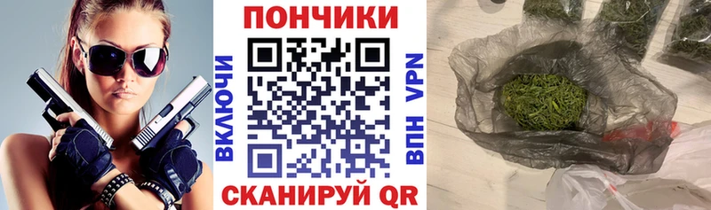 где найти   Пошехонье  Бошки Шишки конопля 